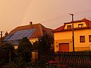 Třibřichy